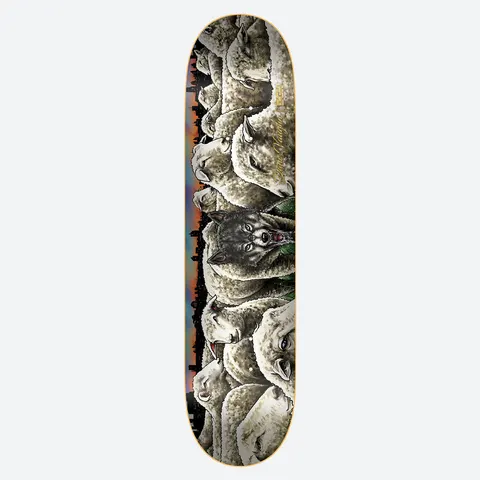 DGK Wolf Vaughn 8.25 skateboard deck: Illustration of a flock of woolly sheep with a grey wolf's snarling head hidden among them, with a dark city skyline and orange sunset sky behind, and a gold signature.