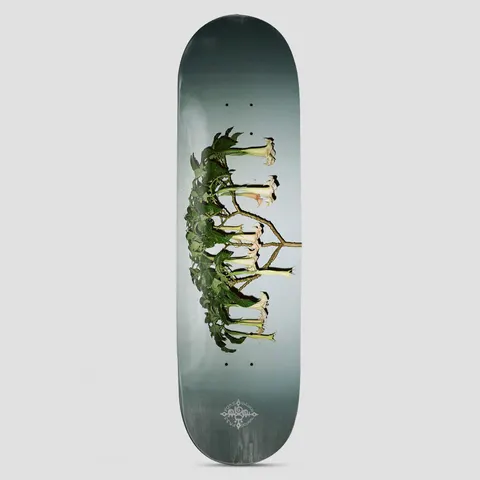 Passport D.G Series Angel Trumpets skateboard deck: Photographic image of an angel's trumpet plant with long cream flowers hanging from branches, set sideways on a grey-green gradient. Small ornate Passport emblem at the tail.