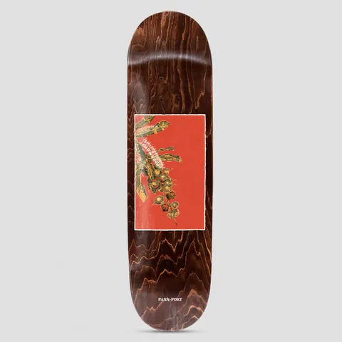 Passport Native Fruit Series Maca skateboard deck: A framed illustration of a spray of macadamia nuts on leaves, in olive and yellow on a red-orange panel, set on a dark brown stained wood deck with the brand name below.
