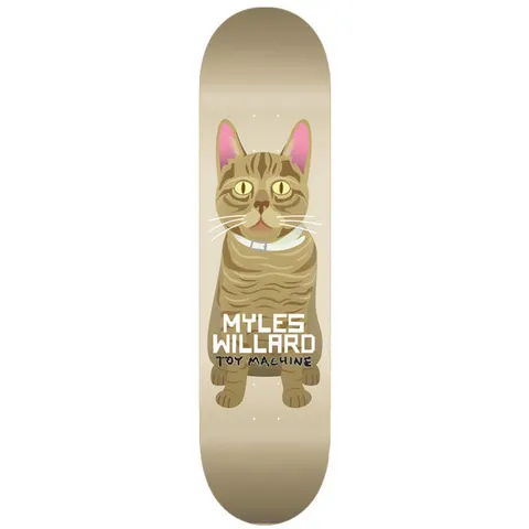Toy Machine Myles Willard Cat 8.13 skateboard deck: Cream deck with an illustrated seated tabby cat with yellow eyes, pink ears and a pale collar, facing forward. Rider name and brand in white and black lettering across its chest.